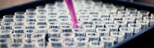 London’s Alchemab Therapeutics secures €29.3 million as British Business Bank makes its largest life sciences investment yet