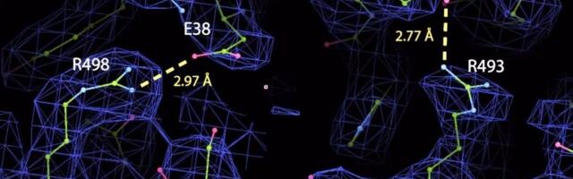 Gandeeva Therapeutics raises $40 million in Series A funding to scale precision imaging tech