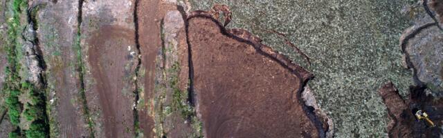Artificial Intelligence Solutions to Protect Ireland’s Peatlands Are Being Explored