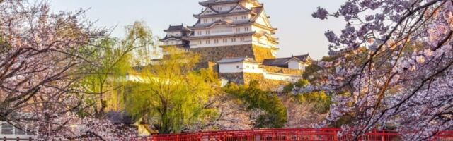 Japan Reports Surge in Arrivals from India