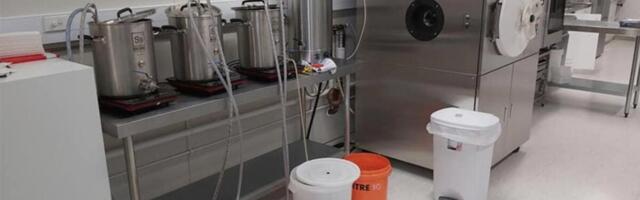 White Noise Makes Beer Brew Faster, Scientists Claim