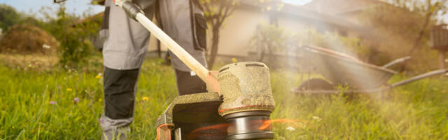 5 Of The Best String Trimmers You Can Buy In 2025