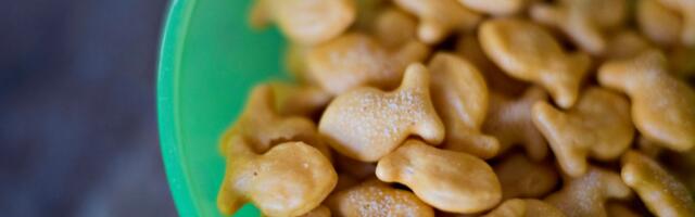 The real problem with kids’ diets today