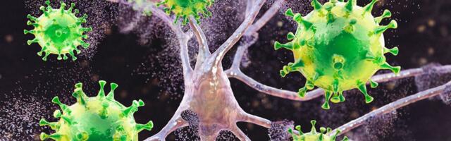 Measles Is Causing Brain Swelling in Children in South Carolina