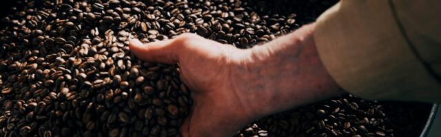 Yes, Your Coffee Beans Might Be Too Fresh. I Asked a Roaster About the Best Time to Grind