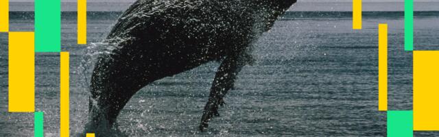 Bitcoin Fails to Hold $116K as OGs Rotate Into Ether: Crypto Daybook Americas
