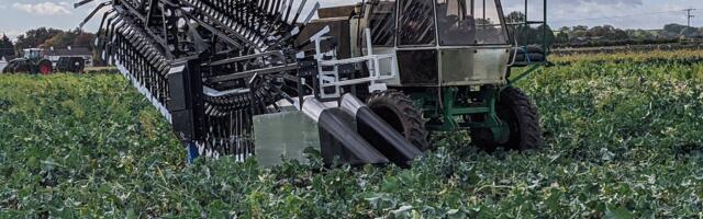 Shropshire startup raises £500k to ‘upcycle’ broccoli stems into plant-based protein