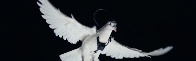 Как тебе такое Илон Маск?