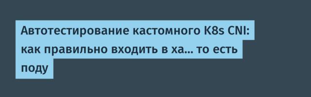 Автотестирование кастомного K8s CNI: как правильно входить в ха… то есть поду