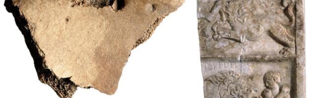 Lion Bite Marks on 1,800-Year-Old Skeleton Confirm Gladiators Fought in Roman Britain