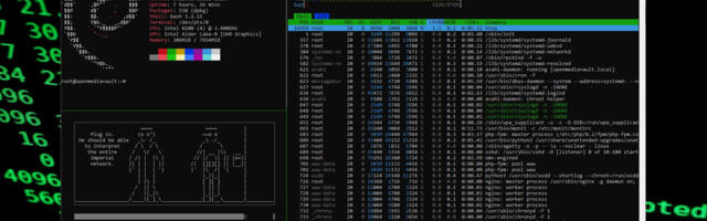 Here's how I multi-task in the Linux terminal with Tmux