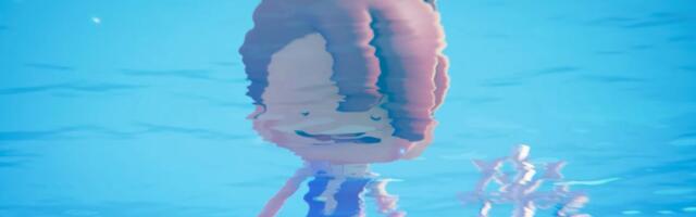 Pokémon Pokopia is diving beneath the waves in a free update and the first of three paid DLC releases out later this year