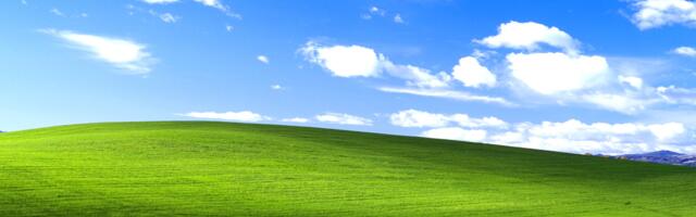 Enthusiast gets Windows XP running on an i486 — mating two dinosaurs from different eras
