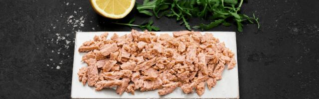 Finnish startup Hailia raises €1.75 million to transform underutilised fish materials into new seafood dishes