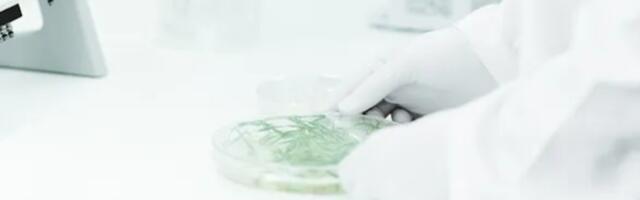 Iceland’s ORF Genetics lands €5M to scale plant-based growth factors for cultivated meat; eyes €7M total