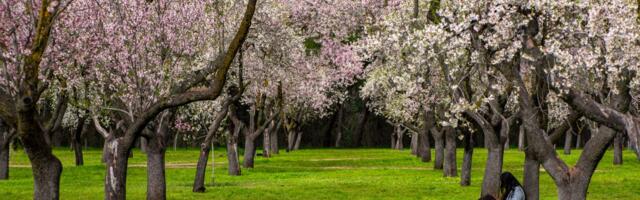 The under-the-radar books early retirees and savvy investors are reading to get ahead