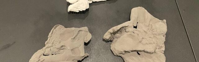 We’re closer to re-creating the sounds of Parasaurolophus