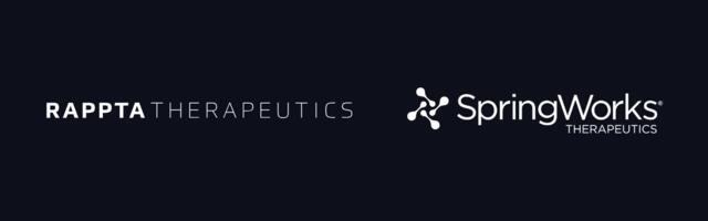 Finland’s Rappta Therapeutics partners with SpringWorks for development of novel cancer treatment