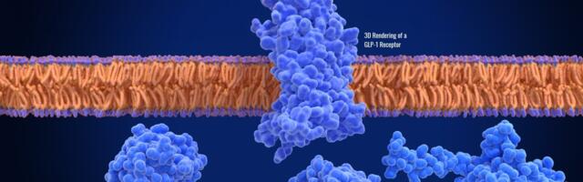 New research aims to address unmet needs following weight loss surgeries