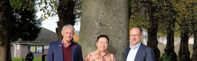A tree in Glasgow signals hope for forests as new carbon accountability platform unveiled