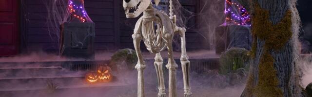 Home Depot's 12-Foot Skeleton Adds a Doggy Friend to His Spooky Universe