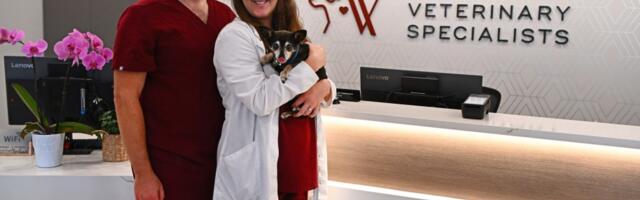 Saratoga High alumni couple celebrate first year of specialty vet practice