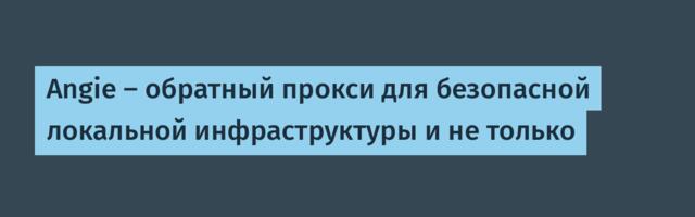 Angie — обратный прокси для безопасной локальной инфраструктуры и не только