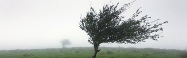 Why now is the era of business resilience