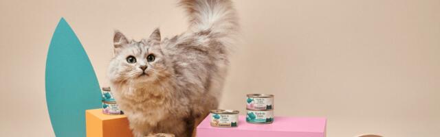 Untamed snags £10M Series B to keep cats wild at heart