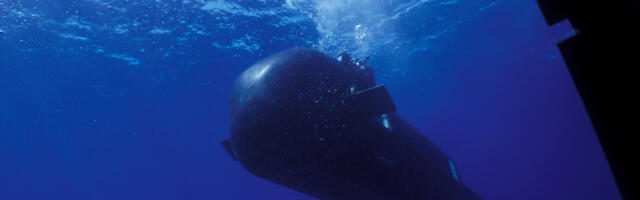 This Mini Sub Is Built To Sneak Navy SEALs Into Enemy Territory