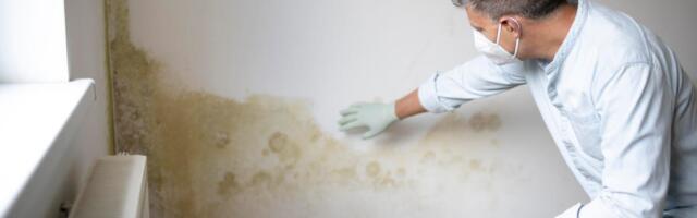 An Expert Shares the 7 Most Common Places Mold Is Hiding in Your Home