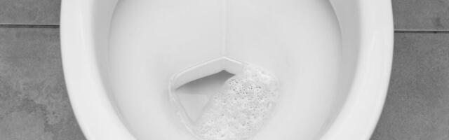 Get Ready for a Puke-Filled Winter: Norovirus Is Back With a Vengeance