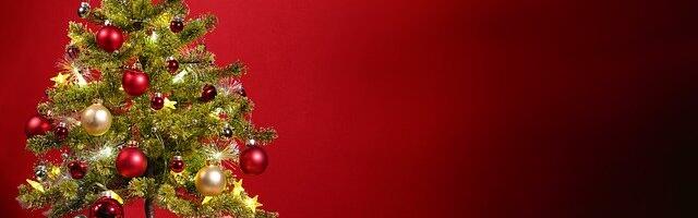 We wish Merry Christmas and happy holidays to our community!