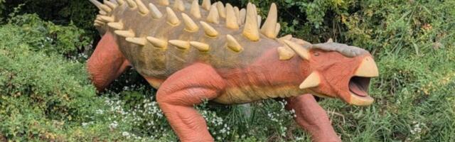 New Jersey Theme Park Puts Animatronic Dinosaurs on Facebook Marketplace as It Shuts Down