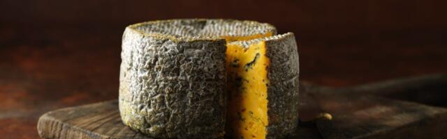 I Was Storing Cheese All Wrong--This Simple Fix Keeps It Fresh for Days