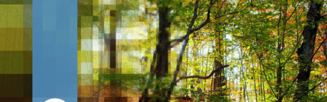 WaveOne aims to make video AI-native and turn streaming upside down