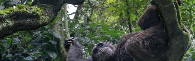 Sit Back and Enjoy the Winning Images From This Year’s Nature inFocus Photography Awards