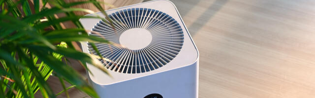 Can You Run A Humidifier & Air Purifier In The Same Room?
