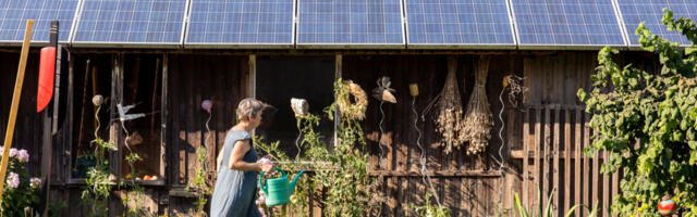Trump’s EPA sued for axing $7 billion solar energy program