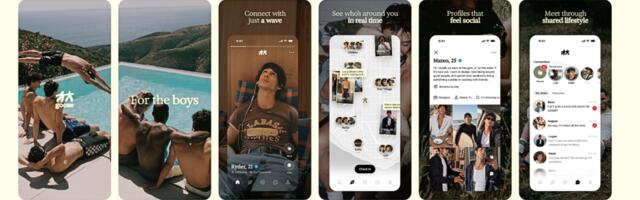 New, anti-algorithm gay dating app Goose is coming