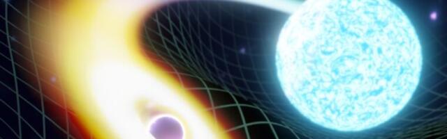 Gravitational waves reveal “mystery object” merging with a neutron star