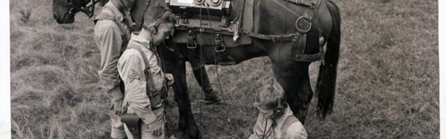 The Army Is Giving Up on War Horses