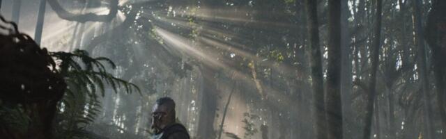 The 20 Films We’re Most Excited About to Close Out the Year