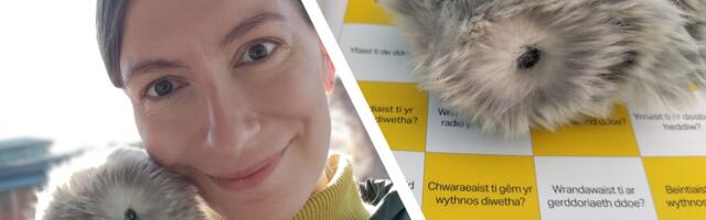 'Moflin had a really warm and fuzzy moment' – a week with the robot pet that wriggled and squeaked its way into my heart