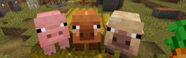 Minecraft adds new pig variants, ambient falling leaves, wildflowers, and more for testing