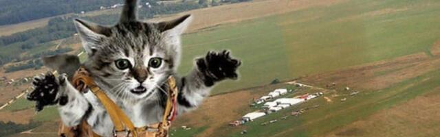 Почему в самолетах нет парашютов и про другие способы спасти пассажиров