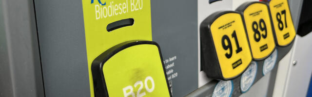 B5 Vs. B20 Biodiesel: What's The Difference Between These Fuel Types?