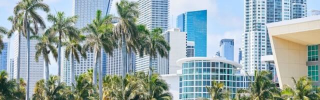 Google Is Really Getting Into Miami Lately