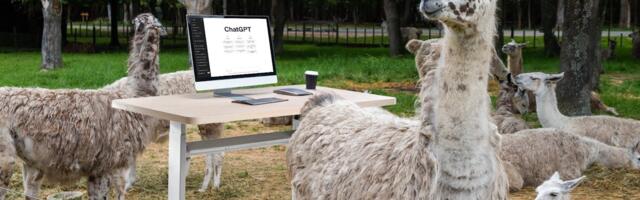 Mark Zuckerberg Is the Hero AI Needs