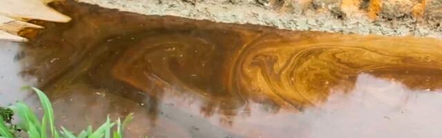 Shell oil pipeline spill fouls farms, river in Niger Delta